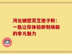 河北破壁灵芝孢子粉：一匙让你体验即刻焕新的非凡魅力