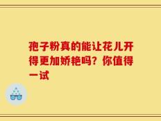 孢子粉真的能让花儿开得更加娇艳吗？你值得一试