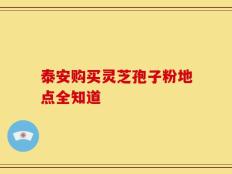 泰安购买灵芝孢子粉地点全知道