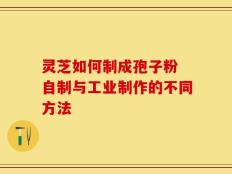 灵芝如何制成孢子粉 自制与工业制作的不同方法