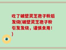 吃了破壁灵芝孢子粉后发烧(破壁灵芝孢子粉引发发烧，谨慎食用！)