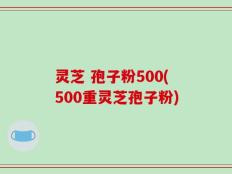 灵芝 孢子粉500(500重灵芝孢子粉)