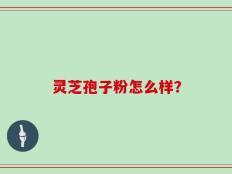 灵芝孢子粉怎么样？