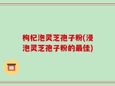 枸杞泡灵芝孢子粉(浸泡灵芝孢子粉的最佳)