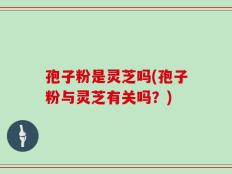 孢子粉是灵芝吗(孢子粉与灵芝有关吗？)