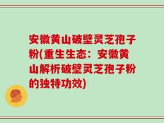 安徽黄山破壁灵芝孢子粉(重生生态：安徽黄山解析破壁灵芝孢子粉的独特功效)