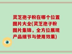 灵芝孢子粉在哪个位置图片大全(灵芝孢子粉图片集锦，全方位展现产品细节与使用效果)