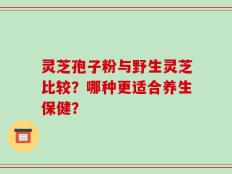 灵芝孢子粉与野生灵芝比较？哪种更适合养生保健？