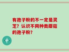 有孢子粉的不一定是灵芝？认识不同种类蘑菇的孢子粉？