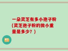 一朵灵芝有多小孢子粉(灵芝孢子粉的微小重量是多少？)