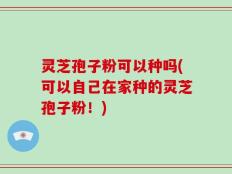 灵芝孢子粉可以种吗(可以自己在家种的灵芝孢子粉！)