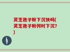 灵芝孢子粉下沉快吗(灵芝孢子粉何时下沉？)