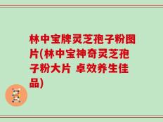 林中宝牌灵芝孢子粉图片(林中宝神奇灵芝孢子粉大片 卓效养生佳品)