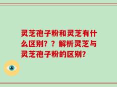 灵芝孢子粉和灵芝有什么区别？？解析灵芝与灵芝孢子粉的区别？