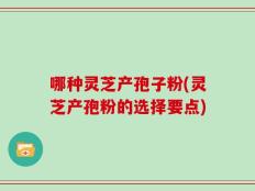 哪种灵芝产孢子粉(灵芝产孢粉的选择要点)