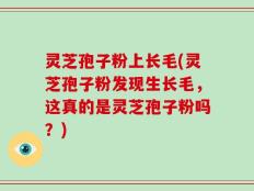 灵芝孢子粉上长毛(灵芝孢子粉发现生长毛，这真的是灵芝孢子粉吗？)