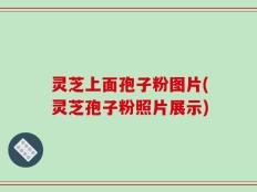 灵芝上面孢子粉图片(灵芝孢子粉照片展示)