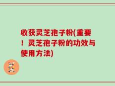 收获灵芝孢子粉(重要！灵芝孢子粉的功效与使用方法)