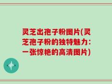 灵芝出孢子粉图片(灵芝孢子粉的独特魅力：一张惊艳的高清图片)