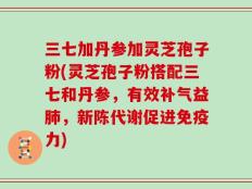 三七加丹参加灵芝孢子粉(灵芝孢子粉搭配三七和丹参，有效补气益肺，新陈代谢促进免疫力)