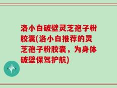 洛小白破壁灵芝孢子粉胶囊(洛小白推荐的灵芝孢子粉胶囊，为身体破壁保驾护航)