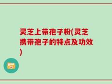 灵芝上带孢子粉(灵芝携带孢子的特点及功效)