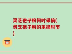灵芝孢子粉何时采摘(灵芝孢子粉的采摘时节)