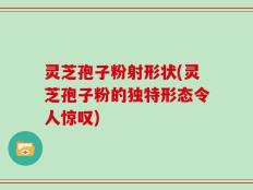 灵芝孢子粉射形状(灵芝孢子粉的独特形态令人惊叹)