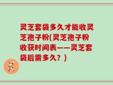 灵芝套袋多久才能收灵芝孢子粉(灵芝孢子粉收获时间表——灵芝套袋后需多久？)
