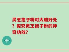 灵芝孢子粉对大脑好处？探究灵芝孢子粉的神奇功效？
