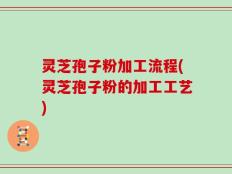 灵芝孢子粉加工流程(灵芝孢子粉的加工工艺)