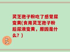 灵芝孢子粉吃了感觉尿变黄(食用灵芝孢子粉后尿液变黄，原因是什么？)