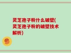 灵芝孢子粉什么破壁(灵芝孢子粉的破壁技术解析)