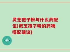 灵芝孢子粉与什么药配伍(灵芝孢子粉的药物搭配建议)