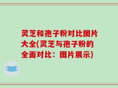 灵芝和孢子粉对比图片大全(灵芝与孢子粉的全面对比：图片展示)
