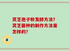灵芝孢子粉发酵方法？灵芝菌种的制作方法是怎样的？