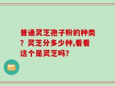 普通灵芝孢子粉的种类？灵芝分多少种,看看这个是灵芝吗？