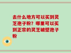 去什么地方可以买到灵芝孢子粉？哪里可以买到正宗的灵芝破壁孢子粉