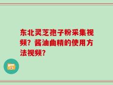 东北灵芝孢子粉采集视频？酱油曲精的使用方法视频？