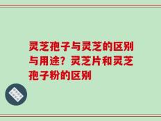 灵芝孢子与灵芝的区别与用途？灵芝片和灵芝孢子粉的区别
