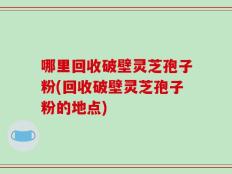 哪里回收破壁灵芝孢子粉(回收破壁灵芝孢子粉的地点)