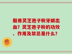 服用灵芝孢子粉牙龈出血？灵芝孢子粉的功效、作用及禁忌是什么？