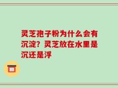 灵芝孢子粉为什么会有沉淀？灵芝放在水里是沉还是浮