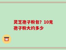 灵芝孢子粉包？10克孢子粉大约多少