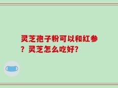 灵芝孢子粉可以和红参？灵芝怎么吃好？
