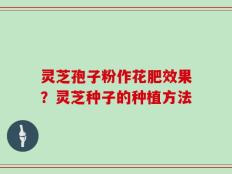 灵芝孢子粉作花肥效果？灵芝种子的种植方法