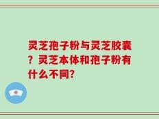 灵芝孢子粉与灵芝胶囊？灵芝本体和孢子粉有什么不同？