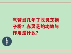气管炎几年了吃灵芝孢子粉？赤灵芝的功效与作用是什么？