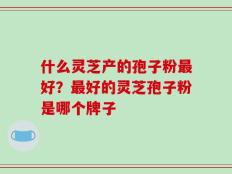 什么灵芝产的孢子粉最好？最好的灵芝孢子粉是哪个牌子