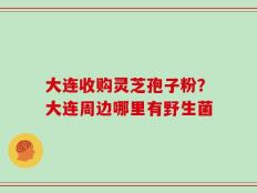 大连收购灵芝孢子粉？大连周边哪里有野生菌